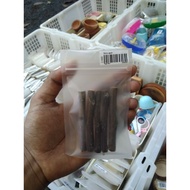 Apple tree branches hamster bite