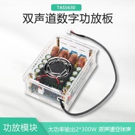 Class D Amplifier [Class D 300WHIFI2 Digital Sunbon Chip Audio Power Amplifier Board Dual Channel TA