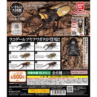 ［現貨］扭蛋 THE DIVERSITY OF LIFE ON EARTH STAG BEETLE 9 / 大圖鑑系列 鍬形蟲 第9彈 