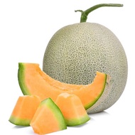 10pcs Rock Melon Seeds / Biji Benih Rock Melon