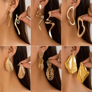 European and American Wrinkled Metal Texture Exaggerate Irregular Earrings