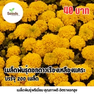 Yellow Marigold Seeds Dwarf Tree 200 Seeds/Pack