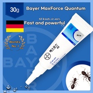 Bayer Maxforce Quantum 30g Get Fast and Long-Lasting Ant Control