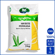 Benih Jagung Hibrida NK 6172 PERKASA (5KG) - syngenta