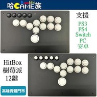 樹莓派 Hitbox(12鍵)格鬥搖桿 黑底白鍵 支援PS3/PS5/Switch/PC/安卓裝置 街霸6 SOCD模式