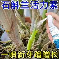 【有機肥】 【花肥】 【開花必備】石斛蘭營養液鐵皮石斛專用肥料生根壯苗催花盆栽花肥 PD