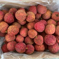 Buah Leci Segar/Lychee 1 Kg