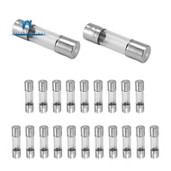 20 x 250 V 2A F2AL Quick F link Glass tube fuse 5 mm x 20 mm