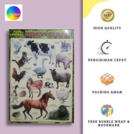 Poster/Poster edukasi/POSTER ANAK (ORIGINAL PRODUK)