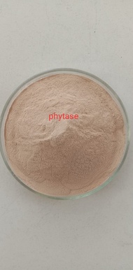 MEN VI SINH Enzyme Phytase 1.000 Ui/G - 5kg
