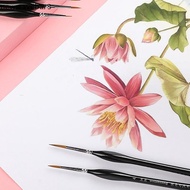 [neve-t] 5Pcs 00000 Precision Fine Tip Paint Brush Set For Acrylic Models Mini Miniature Detail Nylo