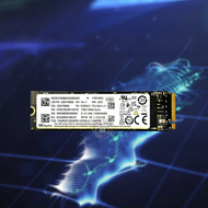 NVMe M.2 SSD PCIe 4.0