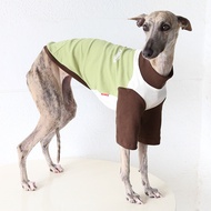 Petstyle Pet Clothes Little Lingti Ebita Dog Thin Color Matching T-Shirt
