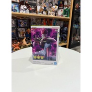 Hisoka Memorable Saga Model