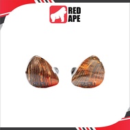 Dunu x Gizaudio DaVinci, Hybrid In-Ear Monitors: 2DD+4BA Earphones IEM (DaVinci)