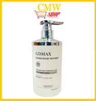 GDMAX Intense Repair Treatment 450ml