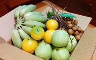 【高雄田寮 自然甜味有機綜合水果箱 6斤裝】依農場季節水果出貨 內含至少3品項