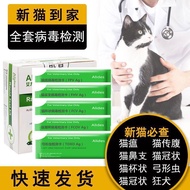 2026 New Style Cat Plague Test Paper/Cat Nose Test Paper/Cat Belly Test Paper Bow-Shaped Insect Cat 