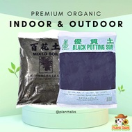 Indoor and Outdoor Plant Soil Black Potting Soil Mixed Soil Perlite Pumice Neem Oil Cactus Succulent Mix Vermicompost
