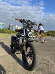 Coswheel T20 胖胖胎全地形自行車