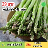 เมล็ดพันธุ์หน่อไม้ฝรั่งบรรจุ 500 เมล็ด