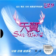 FRIENDSHIP 729 SKY-WING 天翼