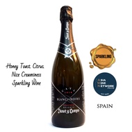 🏅 Sparkling Wine Juve Y Camps Blanc de Noir  2010/11, Spain, 12.0% 750ml