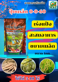 ปุ๋ยเกร็ด 0-0-60 ชาลีเฟรท ชนิดเกร็ดผง ละลายน้ำได้ดี ไม่มีตะกอน บรรจุ 1 กิโลกรัม เร่งหวาน เร่งสี เร่ง