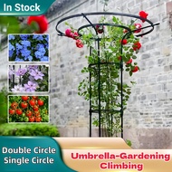 Garden Umbrella Trellis 120–210cm | Single & Double Circle | Climbing Plant Support