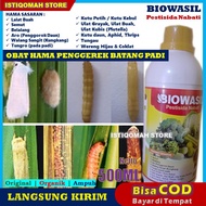 [AMPUH] BIOWASIL 500ml Pestisida Nabati Obat Hama Penggerek Batang pada Tanaman Padi - Obat Pembasmi Ulat Penggorok / Penggerek Daun dan Batang Padi yang Paling Mujarab MURAH TERLARIS