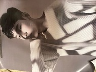 Hoshi Going Seventeen Poster