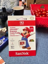 SanDisk Nintendo Switch 256GB microSD卡