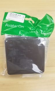 Schneider 施耐德 20A double pole switch 雙極開關