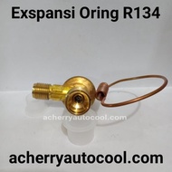 Expansion Oring R134 Fujikoki Code Hv257