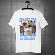 Can Get Too Silly Funny Cat Meme T-Shirt Silly Cat Shirt Ironic Shirt Gift For Her Goofy Ahh Cats Te