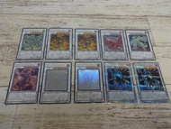 遊戲王5D's系列卡片收藏：星塵龍、紅魔龍、黑薔薇龍、浮雕等。
