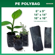 🌱PE Poly Bags | 2.5 KG |6" x 9"|14"x14"|16"x16"|15"x18"| Poly Bag | Nursery Plantation Plastic Bag | Ready Stock | Local