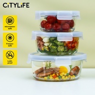 Citylife Bundle Air-tight Glass Lunch Box Oven Microwave Glass Food Container Bento Box H-84878889