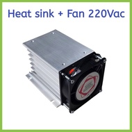 single phase motor soft starter 1kW 1.5kW 2kW 3kW 4kW 6kW 8kW สำหรับมอเตอร์ 220V 1เฟส ขนาด 1-10hp สิ