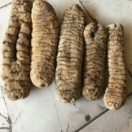 Spesial - Teripang Kunyit Kering 1 Kg