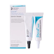 DENTSPLY Dycal (13g + 11g) Self-congealing Calcium Hydroxide Dental Material