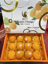 ส้มจุก ญี่ปุ่น ตรานกแก้ว   HFT  พรีเมี่ยม (กล่องสีขาวทอง) กล่องละ 12 ลูก