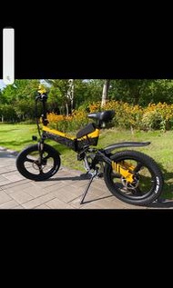 Lankeleisi g650.       Electric bicycle