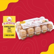 Beacon Seaweed Chicken Eggs 1 box 15 pcs