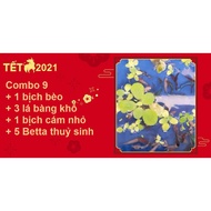 Combo Betta Food 9 - Fish Food