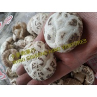 CNY 2025 天白花菇  Super White Mushroom 送礼佳品 新鲜美味 香菇 100g 200g 250g 300g 500g