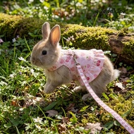 GUADALUPE Ferret Harness Skirt, Adjustable