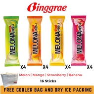 [Bundle Deal] Binggrae Melona Korean Ice Cream with FREE Cooler Bag and Dry Ice