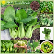 100% Legit Fresh Pak Choi Seeds Green Pakchoi Seeds Vegetable Seeds for Planting Vegetable Plants (1