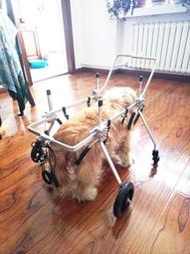 老年犬狗輪椅癱瘓寵物助行車四肢癱瘓狗輪椅犬用殘疾車全身四輪狗輪椅